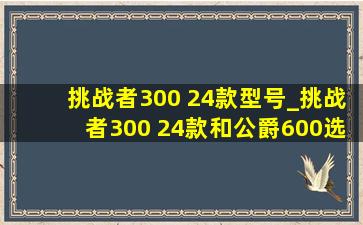 挑战者300 24款型号_挑战者300 24款和公爵600选哪个